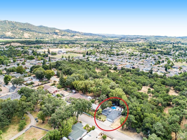aerial view of a mountain backdrop