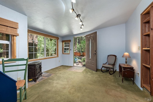 10 Wildwood Ln, Cazadero, CA 95421 - sitting room featuring a wood stove, carpet floors, rail lighting, and vaulted ceiling