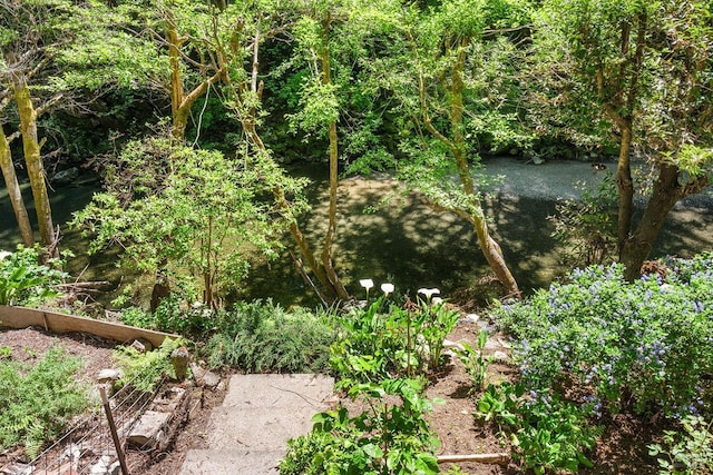 10 Wildwood Ln, Cazadero, CA 95421 - view of undeveloped land