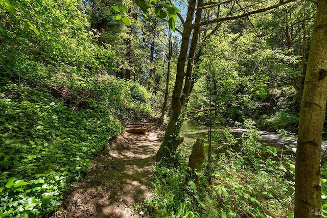10 Wildwood Ln, Cazadero, CA 95421 - view of wooded area