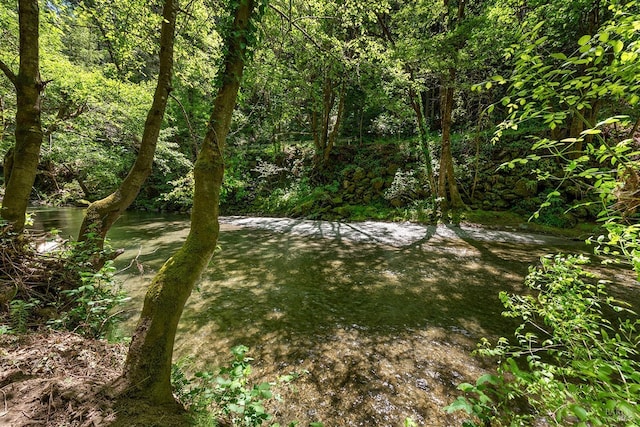 10 Wildwood Ln, Cazadero, CA 95421 - view of wooded area