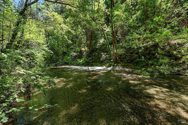 10 Wildwood Ln, Cazadero, CA 95421 - view of tree filled area