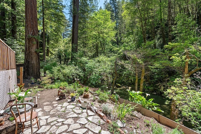 10 Wildwood Ln, Cazadero, CA 95421 - view of undeveloped land