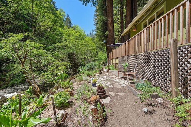 10 Wildwood Ln, Cazadero, CA 95421 - view of yard with a patio area