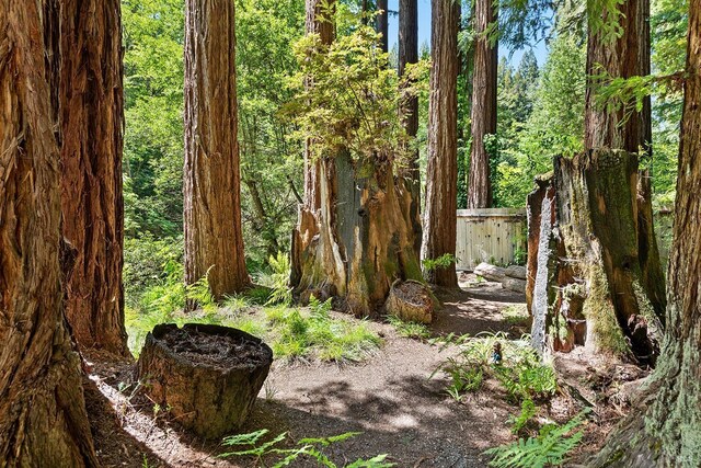 10 Wildwood Ln, Cazadero, CA 95421 - view of undeveloped land
