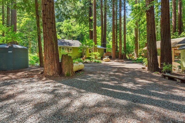 10 Wildwood Ln, Cazadero, CA 95421 - view of dirt / gravel road with a forest view
