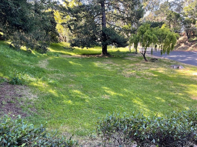 401 Sausalito St, Corte Madera, CA 94925 - view of green lawn