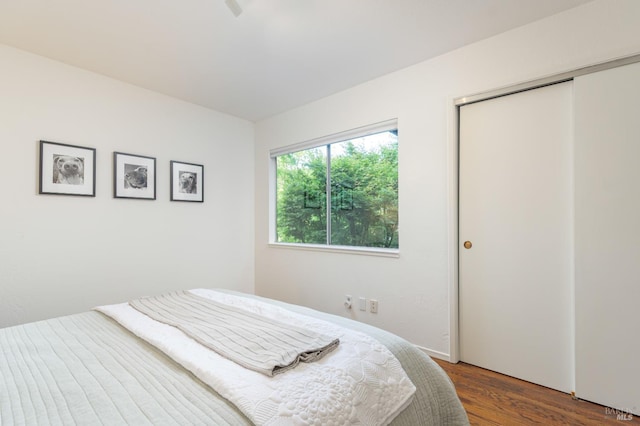 bedroom with wood finished floors and a closet