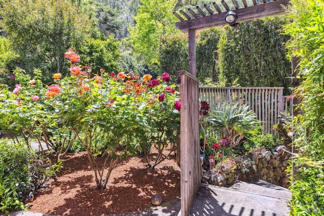 9 Buckeye Cir, Woodacre, CA 94973 - view of yard