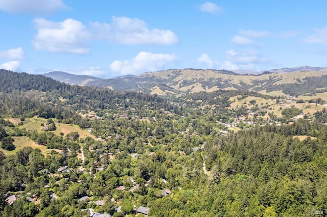 9 Buckeye Cir, Woodacre, CA 94973 - view of mountain background featuring a forest