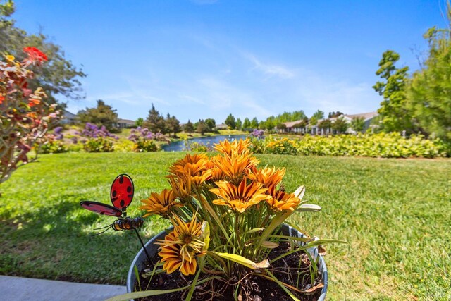 573 Laurel Pl, Rio Vista, CA 94571 - view of grassy yard with a water view