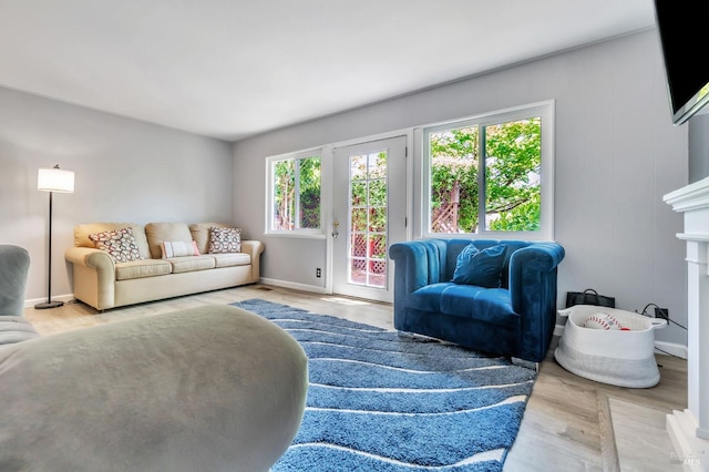 living room featuring baseboards, wood finished floors, and a fireplace