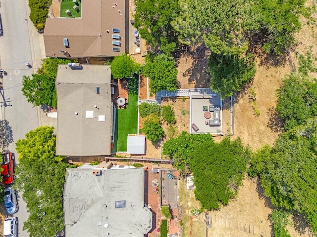 bird's eye view