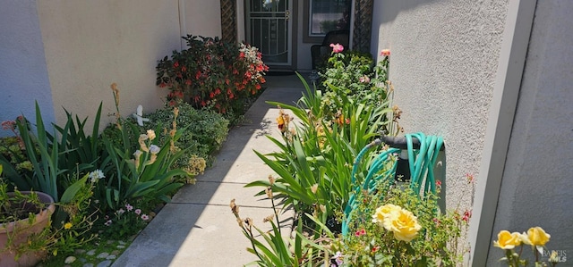 611 Twin Lakes Ln, Rio Vista, CA 94571 - view of yard