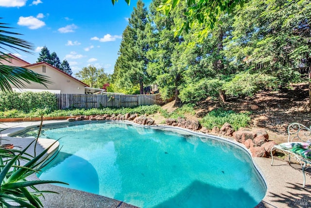 view of swimming pool with a fenced backyard