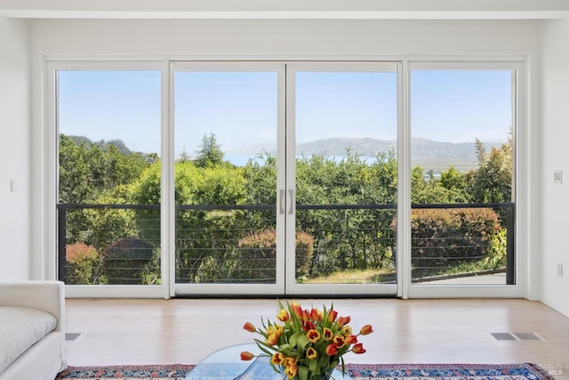 doorway to outside with healthy amount of natural light and a mountain view