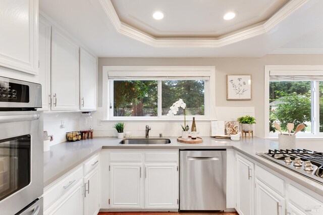 587 El Capitan Dr, Danville, CA 94526 - kitchen featuring appliances with stainless steel finishes, a sink, backsplash, light countertops, and ornamental molding