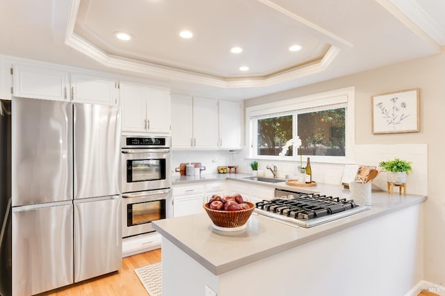 587 El Capitan Dr, Danville, CA 94526 - kitchen featuring stainless steel appliances, a tray ceiling, a sink, light countertops, and a peninsula