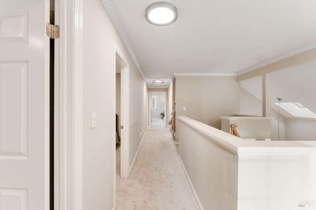 587 El Capitan Dr, Danville, CA 94526 - hallway featuring light carpet, ornamental molding, an upstairs landing, and baseboards