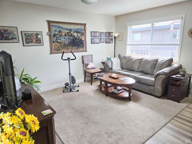 living area featuring baseboards and wood finished floors