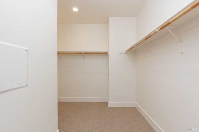 walk in closet with light carpet
