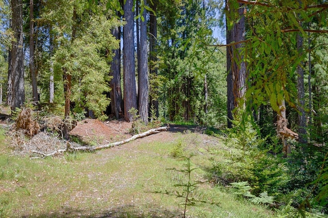 22196 Umland Cir, Jenner, CA 95450