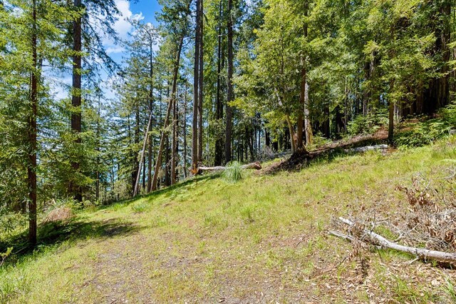 22196 Umland Cir, Jenner, CA 95450