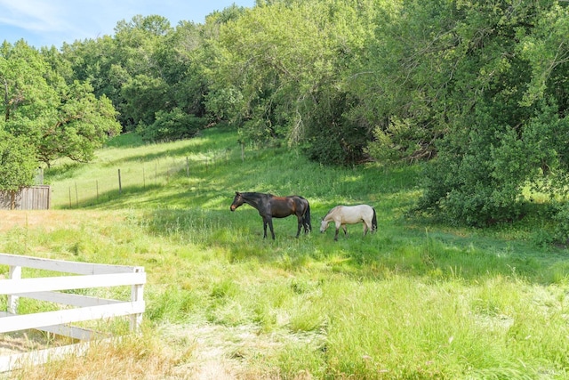 155 H Ln, Novato, CA 94945 - view of yard featuring a rural view and a wooded view