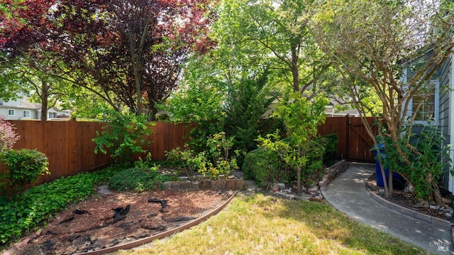 830 Chardonnay Cir, Petaluma, CA 94954 - fenced backyard with a gate