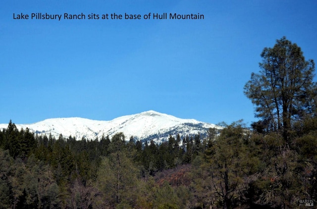 3320 Booth Way, Potter Valley, CA 95469 - view of mountain background featuring a forest
