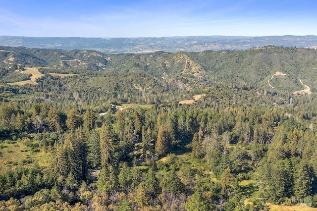 3500 Mount Veeder Rd, Napa, CA 94558 - aerial overview of property's location featuring a heavily wooded area and a mountain backdrop