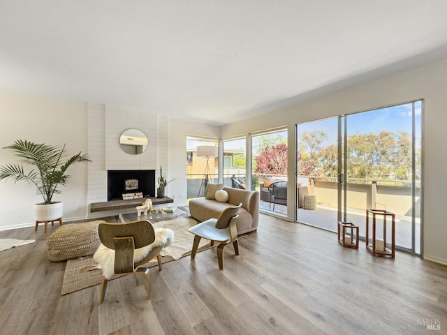 living area with wood finished floors, a fireplace, and baseboards