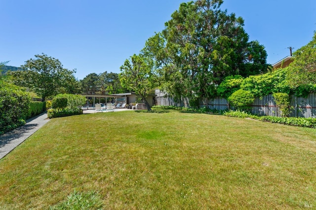view of yard featuring a patio