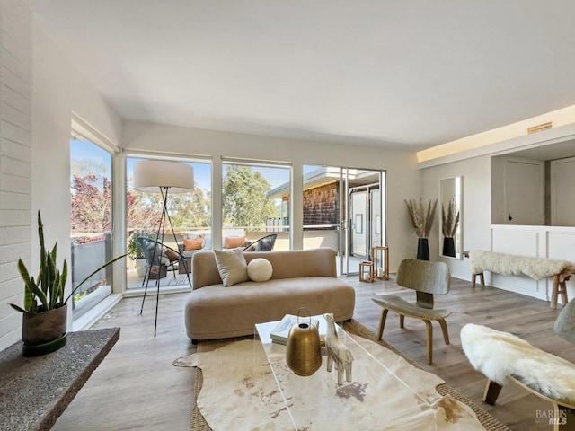 living area featuring wood finished floors