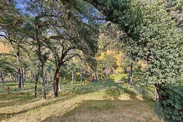 1126 Rimrock Dr, Napa, CA 94558 - view of yard