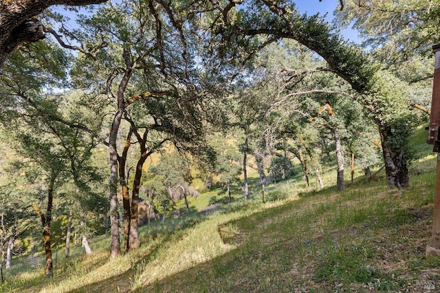 1126 Rimrock Dr, Napa, CA 94558 - view of local wilderness