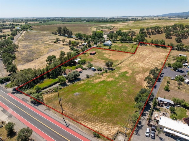 25107 Main St, Capay, CA 95607 - aerial view of sparsely populated area with rows of crops and property parcel outlined