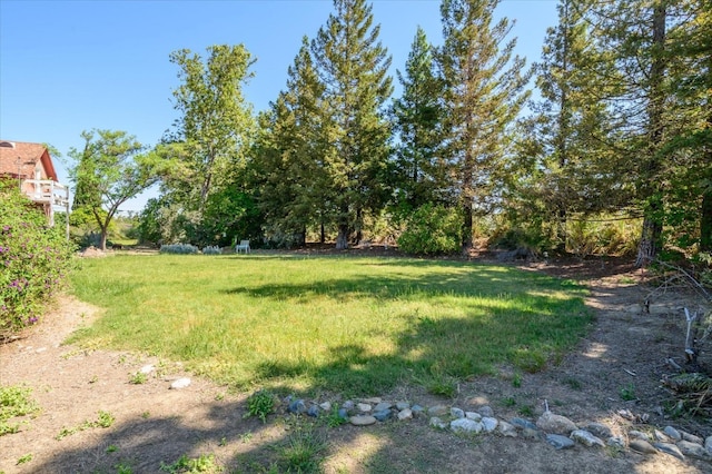 25107 Main St, Capay, CA 95607 - view of yard