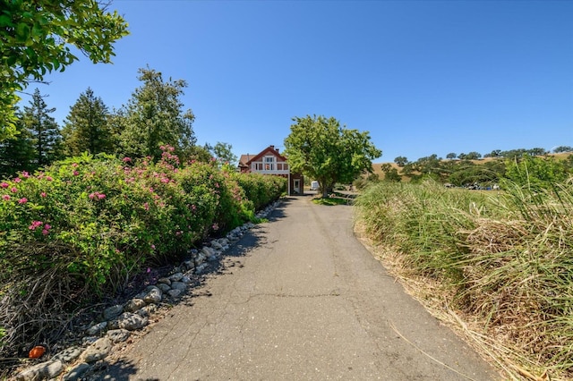 25107 Main St, Capay, CA 95607 - view of asphalt driveway