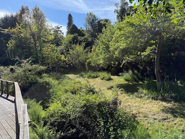 330 Aberdeen Way, Inverness, CA 94937 - view of nature