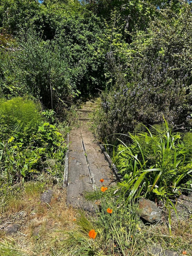 330 Aberdeen Way, Inverness, CA 94937 - view of yard