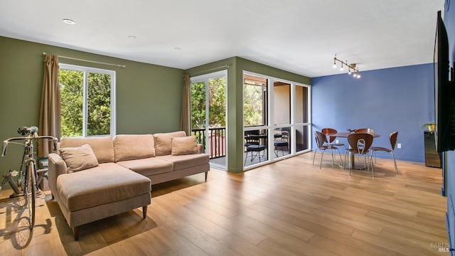 98 Forest Ln, San Rafael, CA 94903 - living area with plenty of natural light and wood finished floors