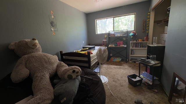 25248 Robinson Rd, Willits, CA 95490 - view of carpeted bedroom