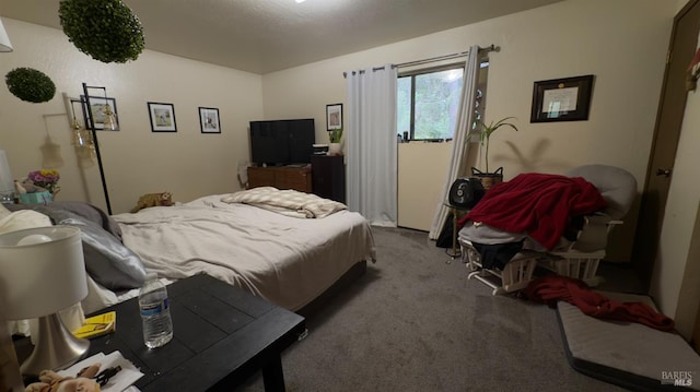 25248 Robinson Rd, Willits, CA 95490 - bedroom with carpet flooring
