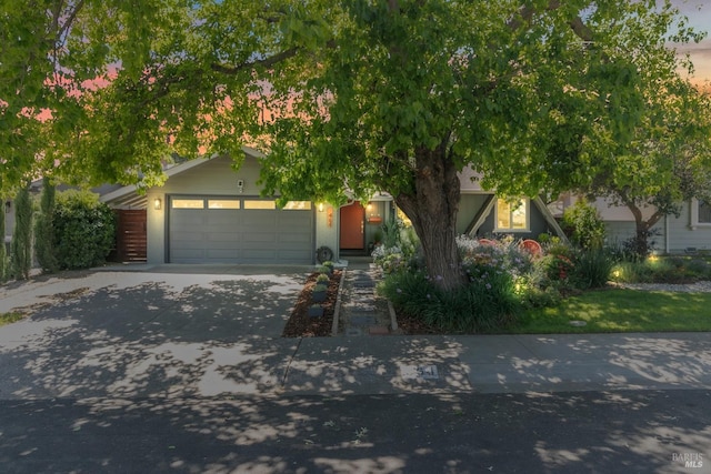 464 Azalea Way, Vacaville, CA 95688 - view of property hidden behind natural elements featuring a garage and concrete driveway