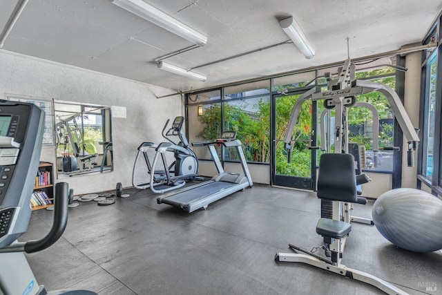 3183 Wayside Plz Unit 319, Walnut Creek, CA 94597 - exercise room with a textured wall