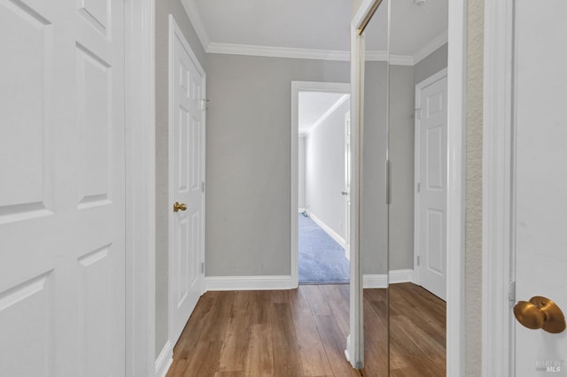 3183 Wayside Plz Unit 319, Walnut Creek, CA 94597 - hallway with wood finished floors, ornamental molding, and baseboards