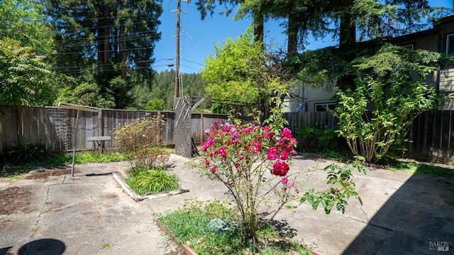 20226 Willow Rd, Monte Rio, CA 95462 - fenced backyard with a patio area