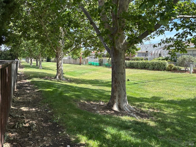 160 Bryce Way, Vacaville, CA 95687 - view of yard