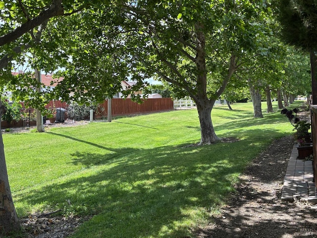 160 Bryce Way, Vacaville, CA 95687 - view of yard